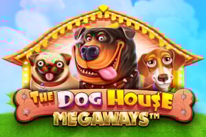 The Dog House Megaways – slot by Pragmatic Play, featured at verdecasinoit.eu
